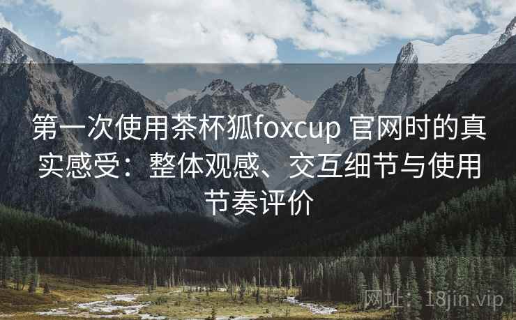 第一次使用茶杯狐foxcup 官网时的真实感受：整体观感、交互细节与使用节奏评价