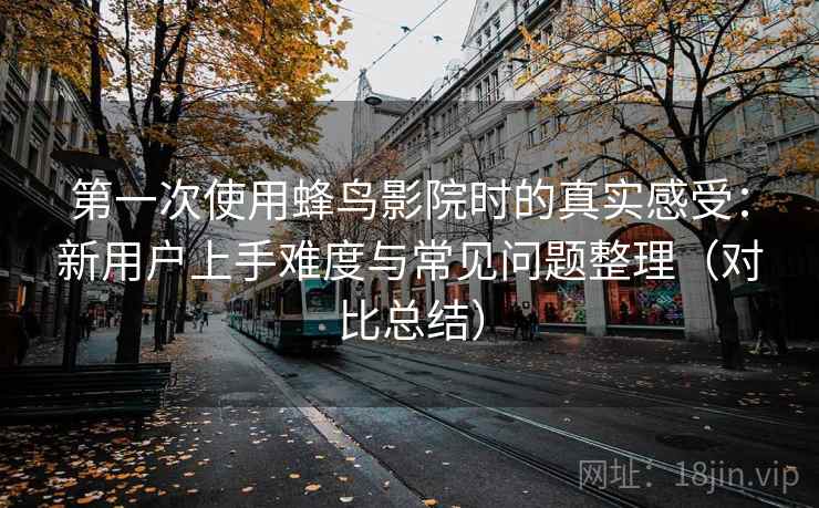 第一次使用蜂鸟影院时的真实感受：新用户上手难度与常见问题整理（对比总结）